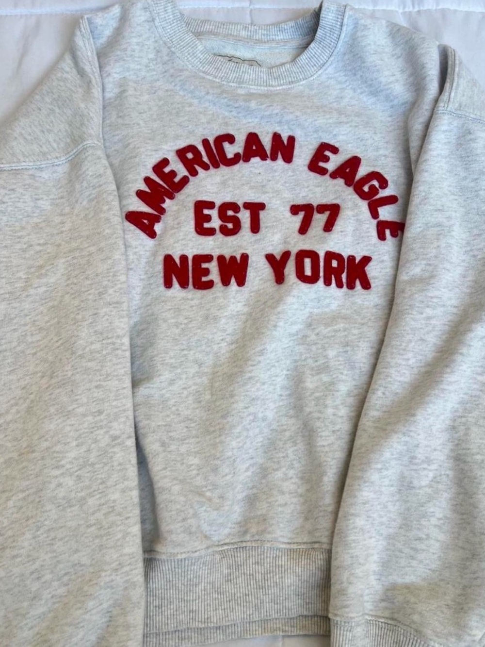 American Eagle Outfitters Light Gray Crewneck Sweatshirt